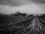 Muddy Lane, Amish Farm
